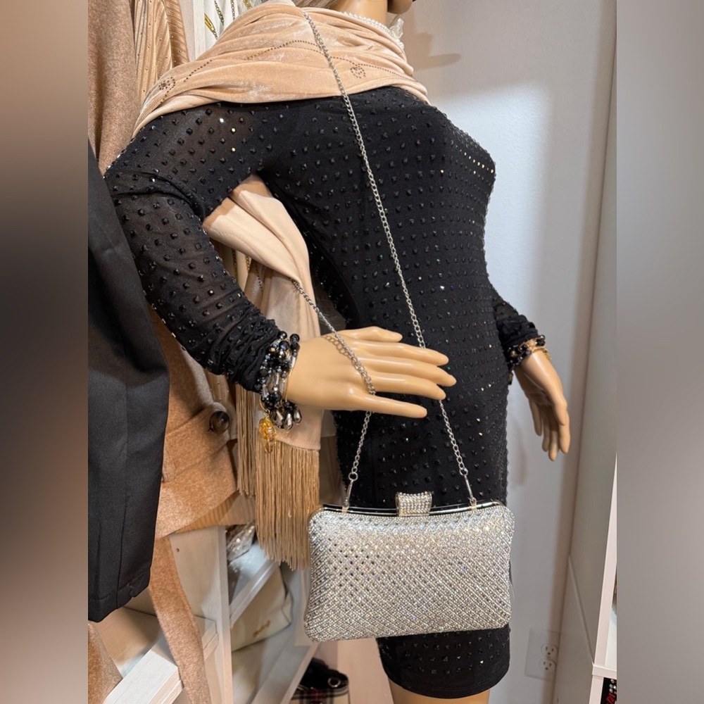 Elegant Silver Evening Bag